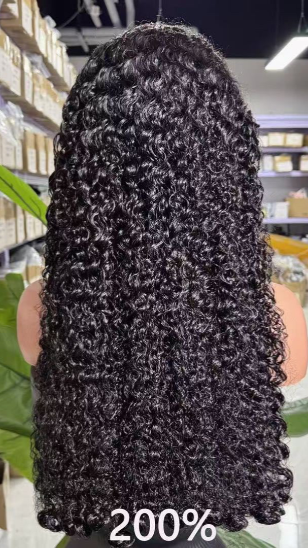 Brazilian Raw Burmese Curly Transparent Frontal Wig, 210% Density Raw Virgin Human Hair Wigs