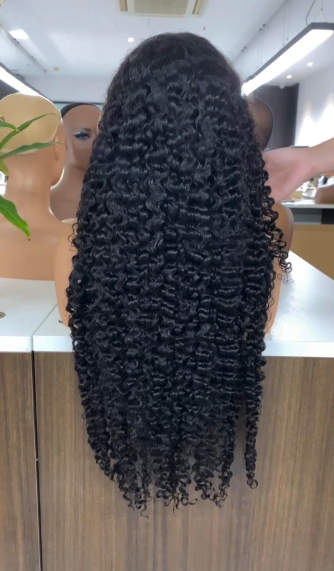 Brazilian Raw Burmese Curly Transparent Frontal Wig, 210% Density Raw Virgin Human Hair Wigs