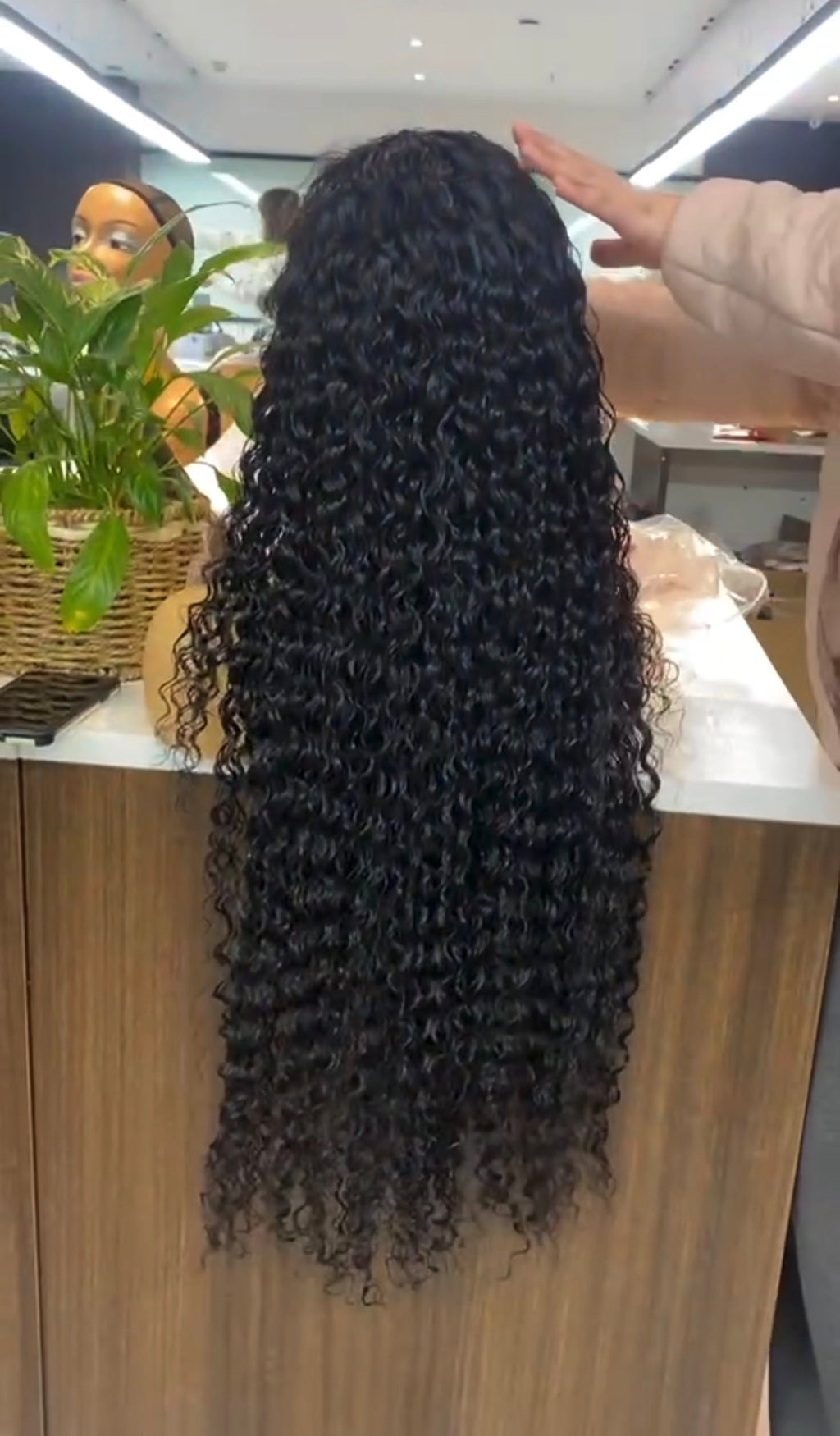 Water Wave Transparent Lace Front Wig Human Hair,Cuticle Aligned Indian Hair Lace Wigs